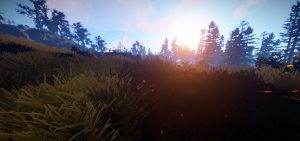 Screenshot from Rust Server